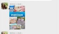爆料最新事件有哪些,聚焦时事热点，追踪社会动态