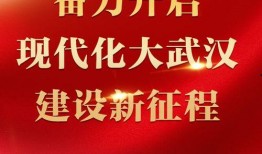 武汉早安最新爆料新闻,揭秘XX事件背后真相