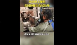 英国爆料病毒事件最新,揭秘疫情背后的真相与争议