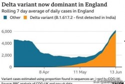 英国爆料病毒事件最新,揭秘疫情背后的真相与争议