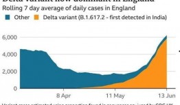 英国爆料病毒事件最新,揭秘疫情背后的真相与争议