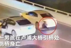卢浦大桥爆料最新消息今天,最新进展及现场情况披露